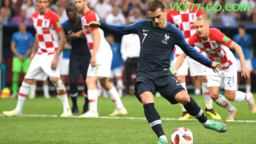 Descubra contavip: Guia Prático Para Iniciantes e Experts - programa