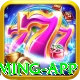 v888win Plus Gaming App